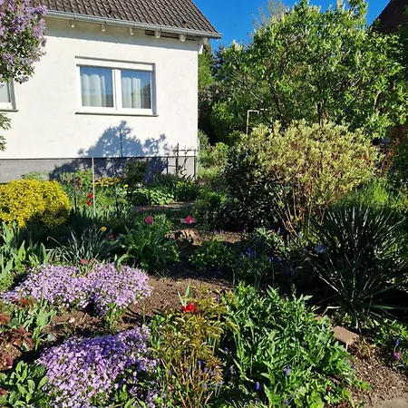 Kleine Moderne Ferienwohnung Tauscha Esterno foto