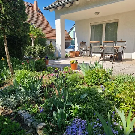 Kleine Moderne Ferienwohnung Tauscha Esterno foto